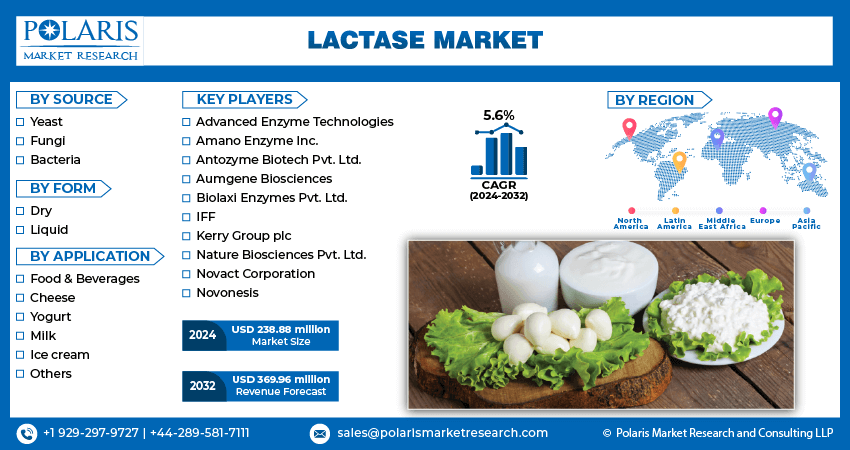 Lactase Market Info
